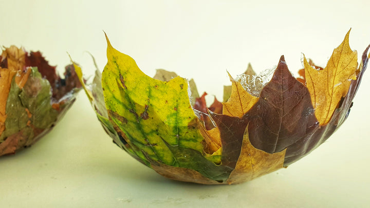 Easy&fun autumn DIY craft project